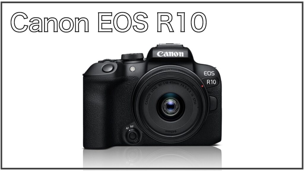EOS R10の画像