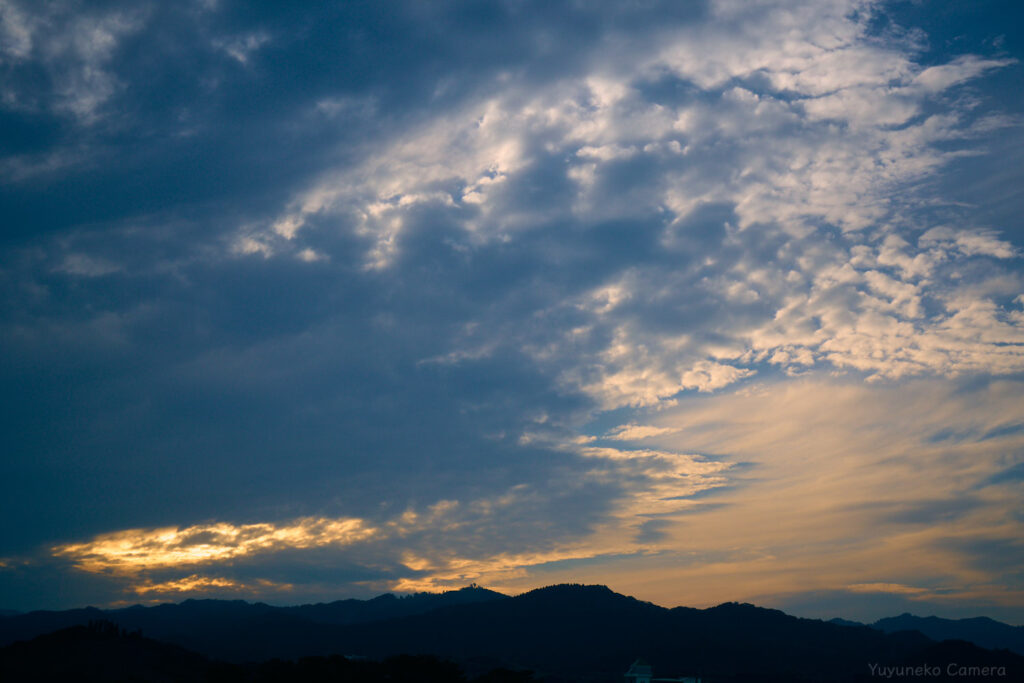 Nikon Zfc|作例