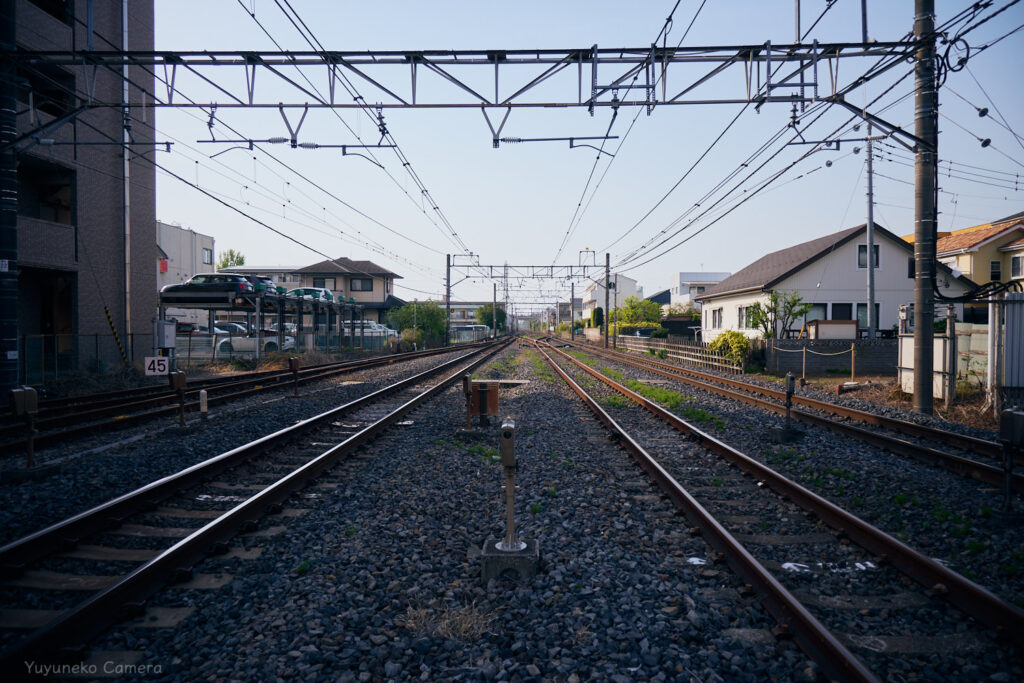 Nikon Zfc 作例