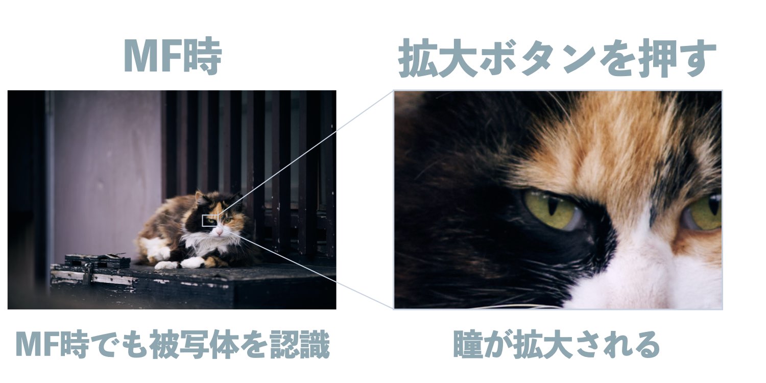 MF時の被写体認識