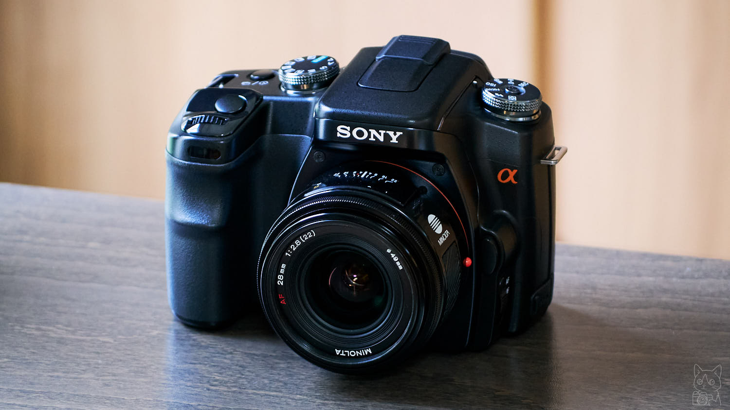SONY α100