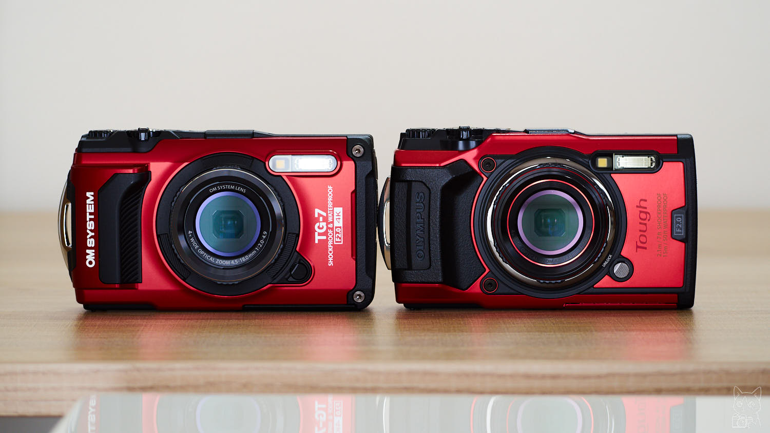 水中コンデジOLYMPUS TG6 オプション付き Olympus TG-6】オリンパスの堅牢なコンデジ～旅には最高にタフな