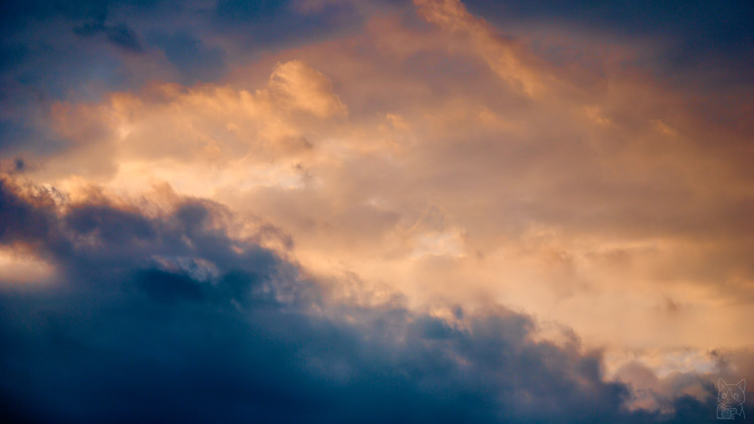 Nikon D60 作例