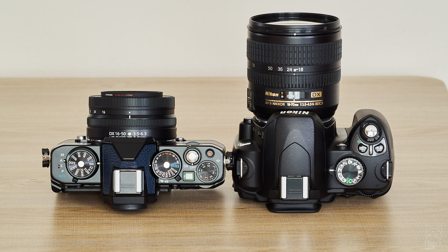 左：Nikon Zfc　｜　右：Nikon D60