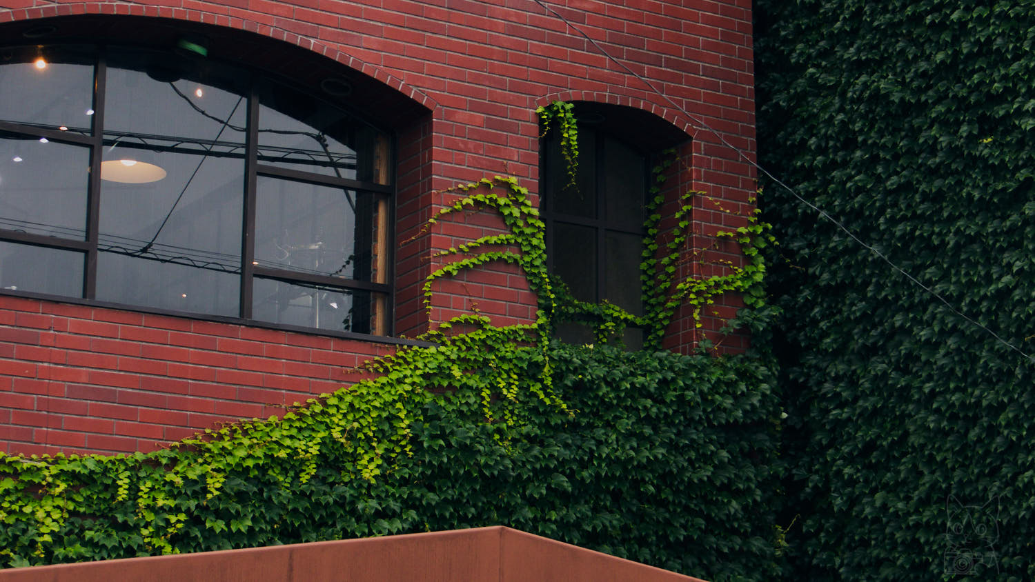 CASIO EXILIM EX-ZR700 作例