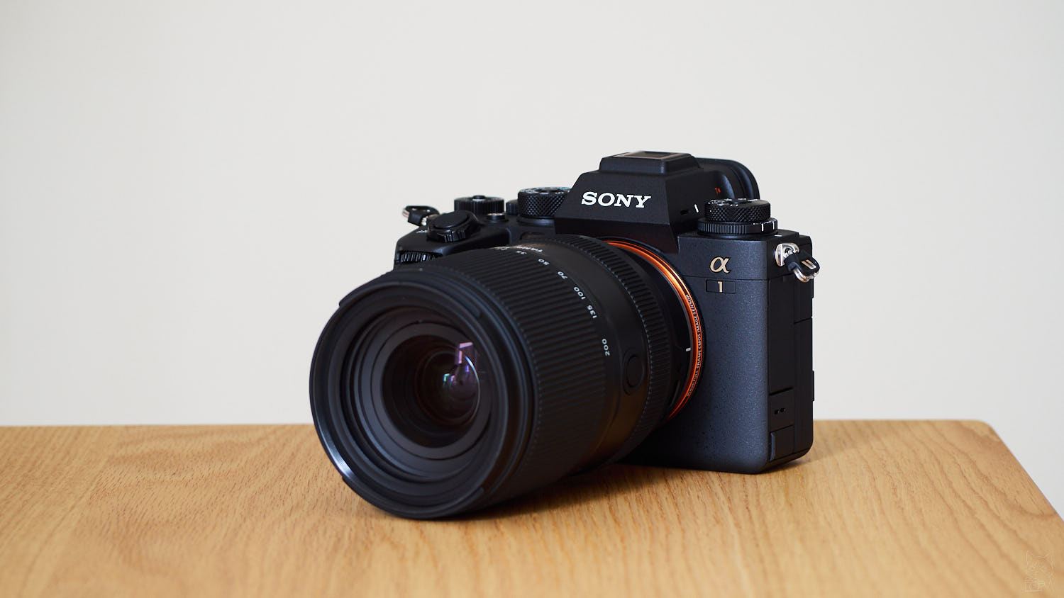 TAMRON 25-200mm F/2.8-5.6 Di III VXD G2 + α1