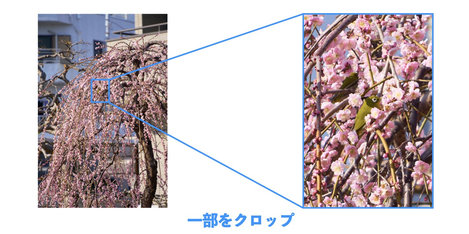 TAMRON 25-200mm F/2.8-5.6 Di III VXD G2｜一部をクロップ