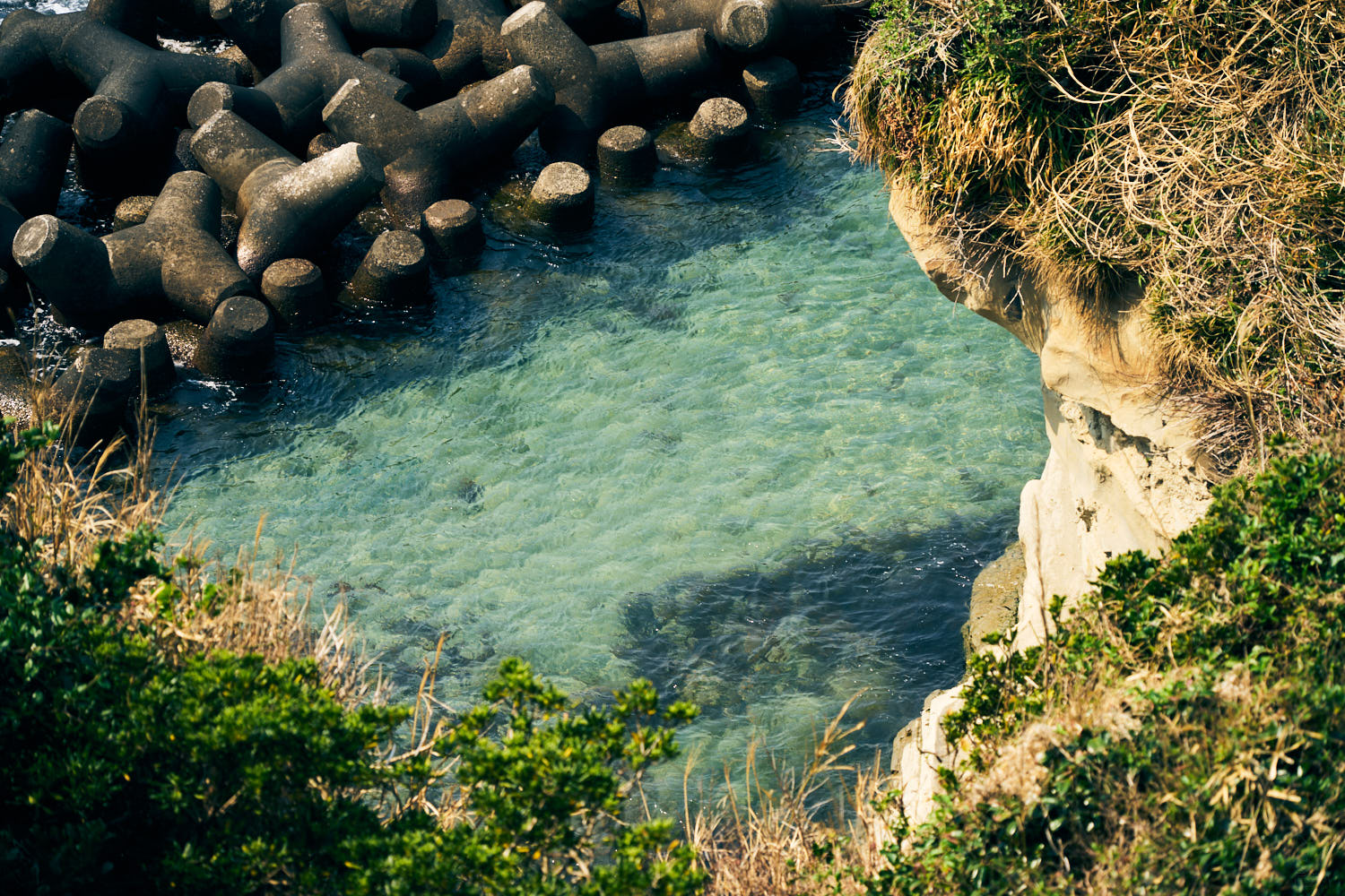 25-200mm F/2.8-5.6 Di III VXD G2 作例