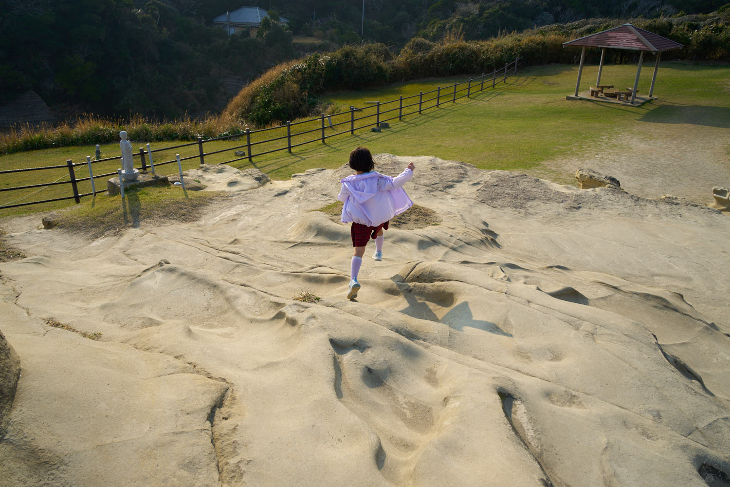 25-200mm F/2.8-5.6 Di III VXD G2 作例