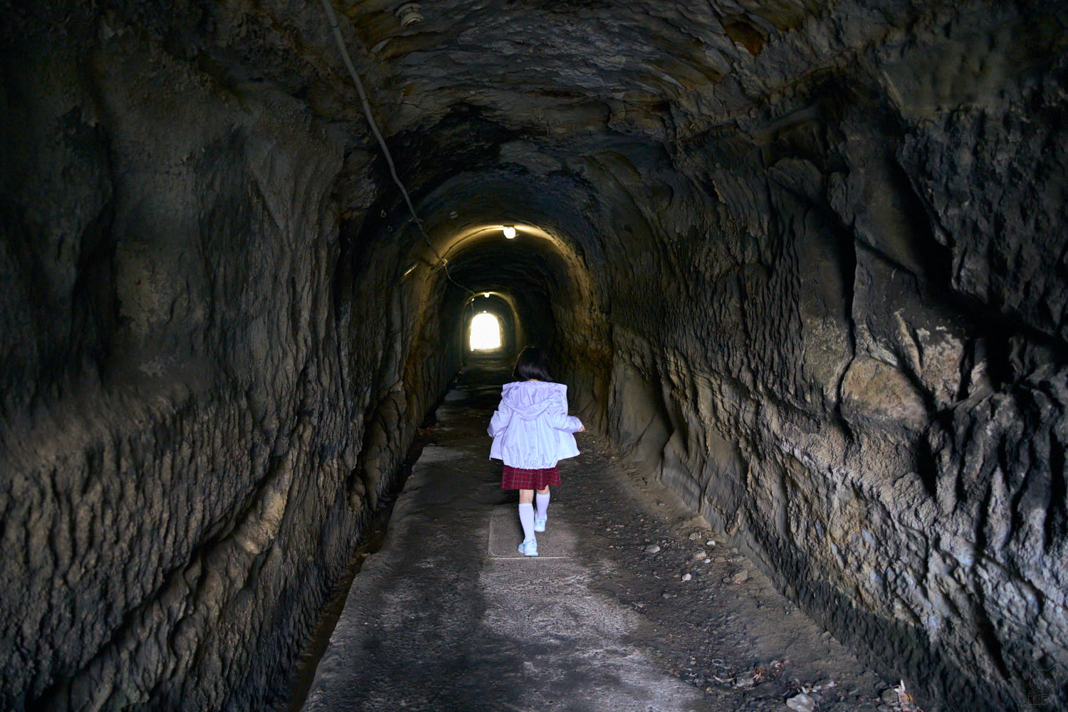 25-200mm F/2.8-5.6 Di III VXD G2 作例