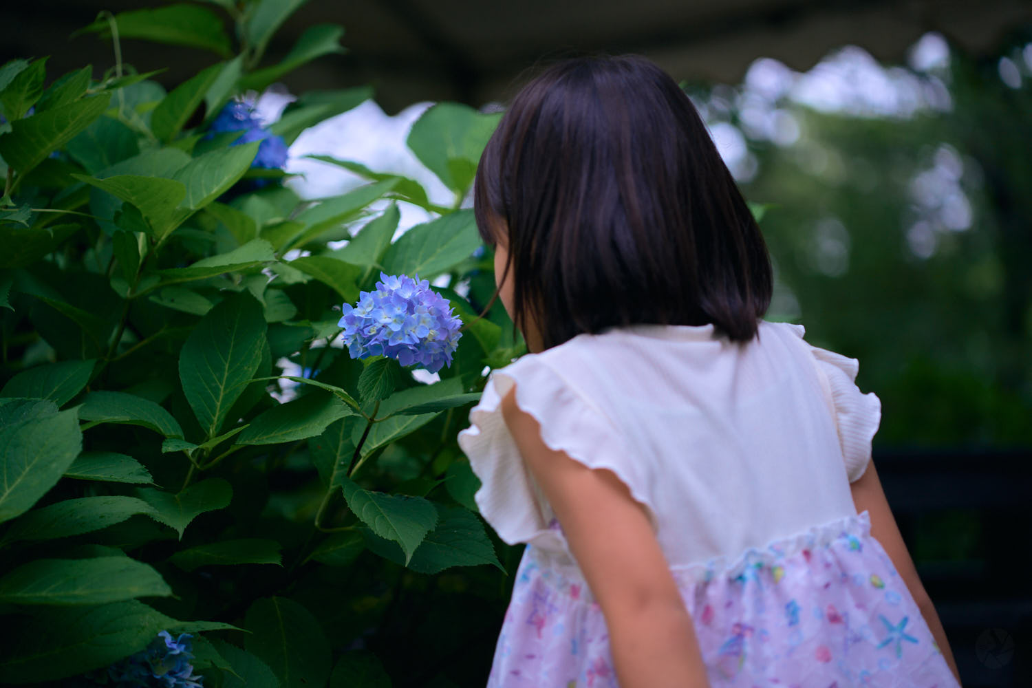 TAMRON 35-100mm F/2.8 Di III VXD 作例
