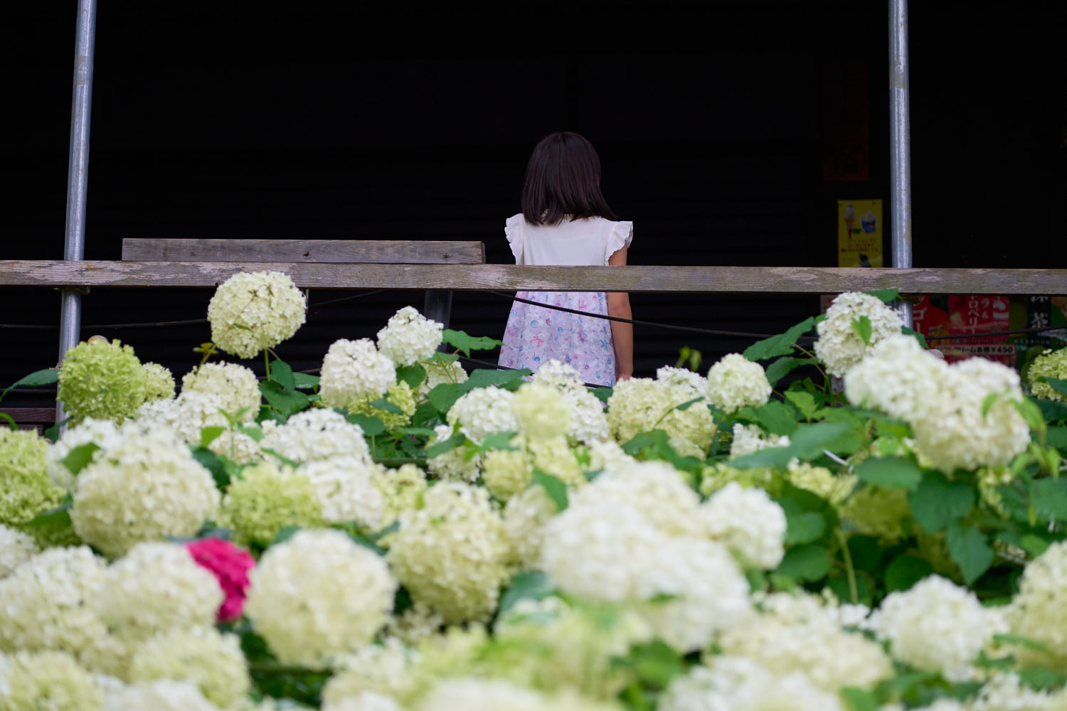 TAMRON 35-100mm F/2.8 Di III VXD 作例