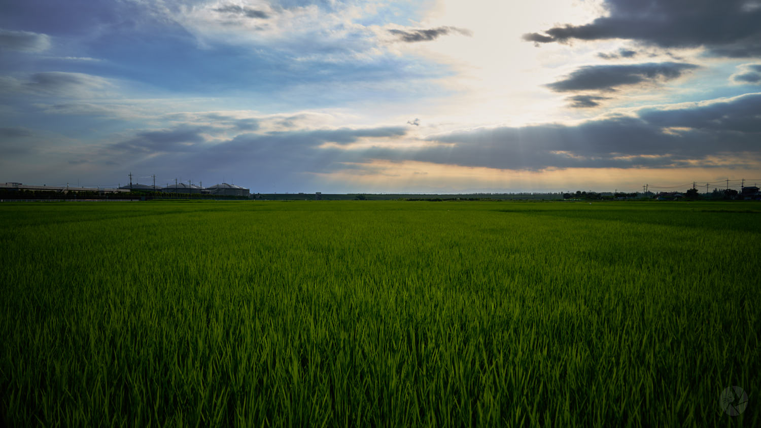 NIKKOR Z 24-50mm f/4-6.3作例