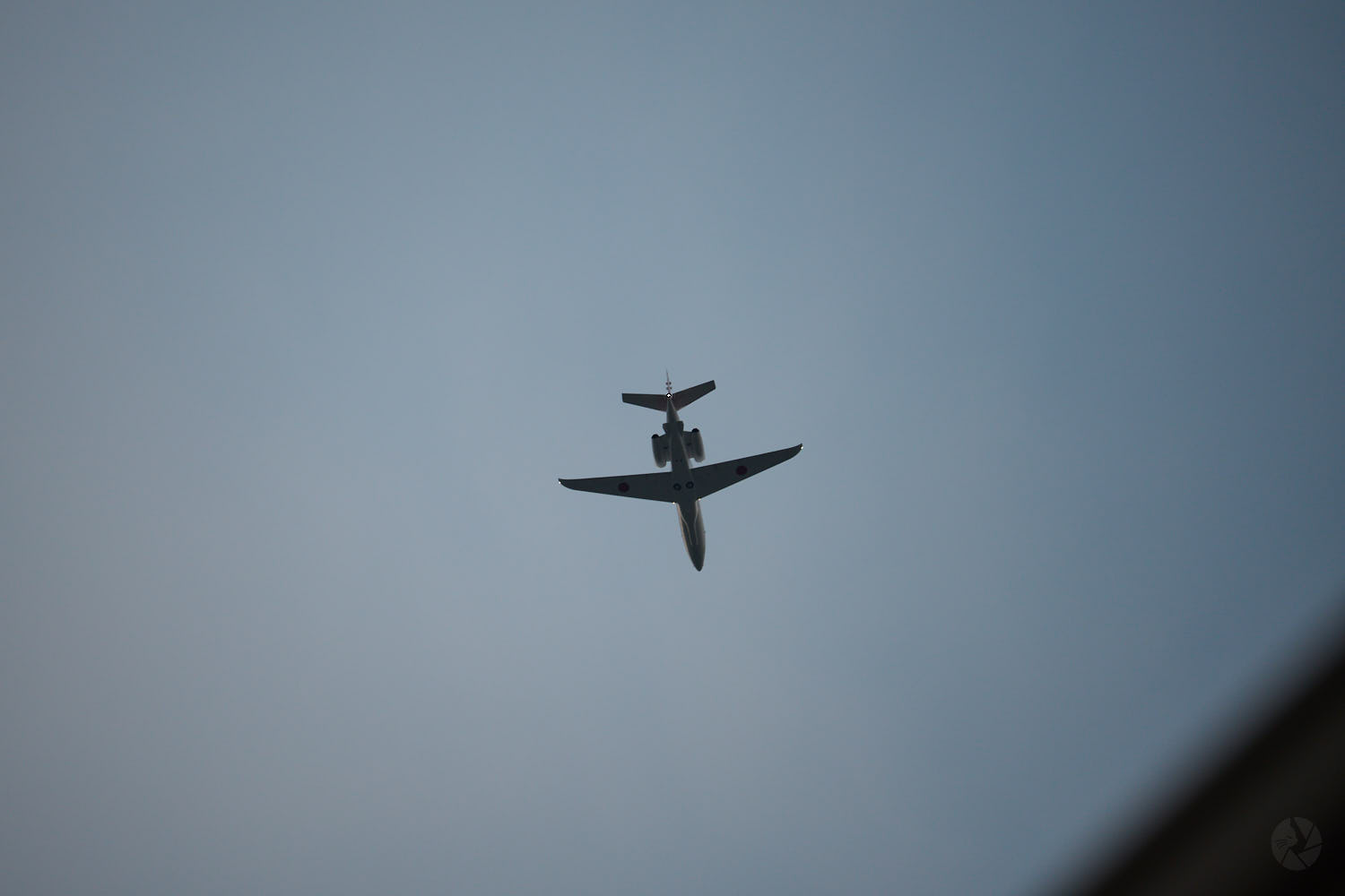Z fc + NIKKOR Z DX 50-250mm f/4.5-6.3 VR作例