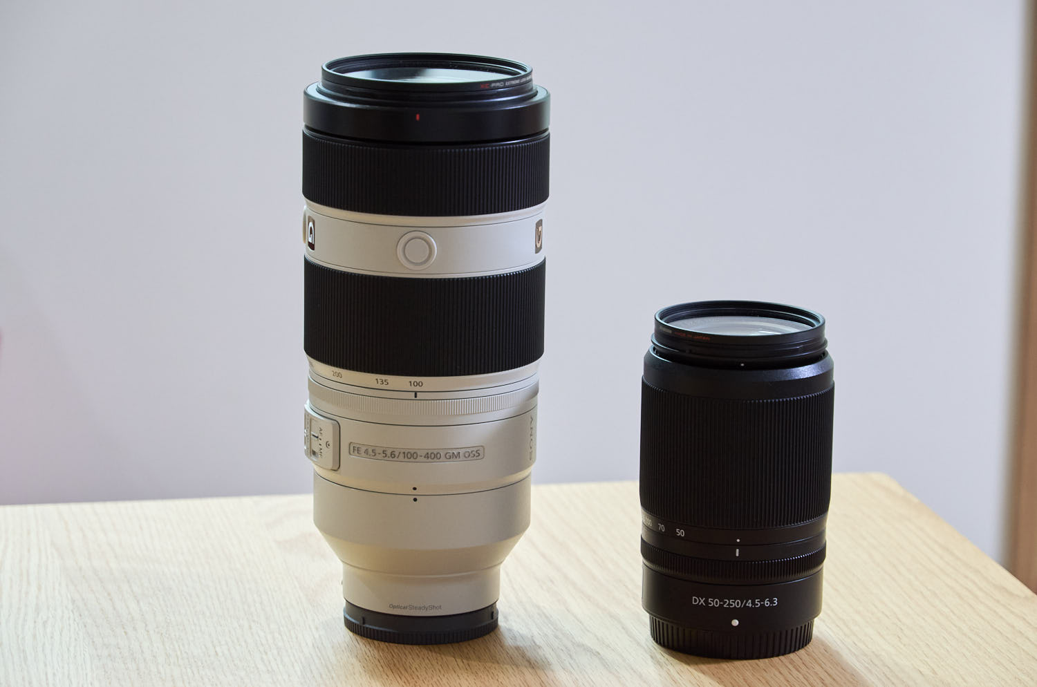 「FE 100-400mm F4.5-5.6 GM OSS」と「NIKKOR Z DX 50-250mm f/4.5-6.3 VR」