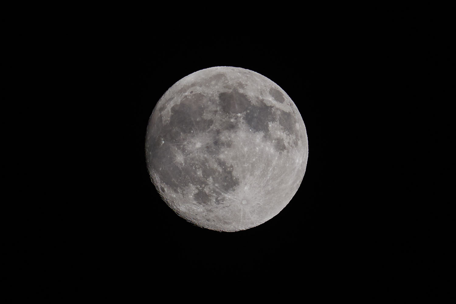 NIKKOR Z DX 50-250mm 作例